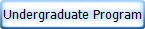 Undergraduate Program 